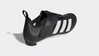 Adidas Indoor Shoe