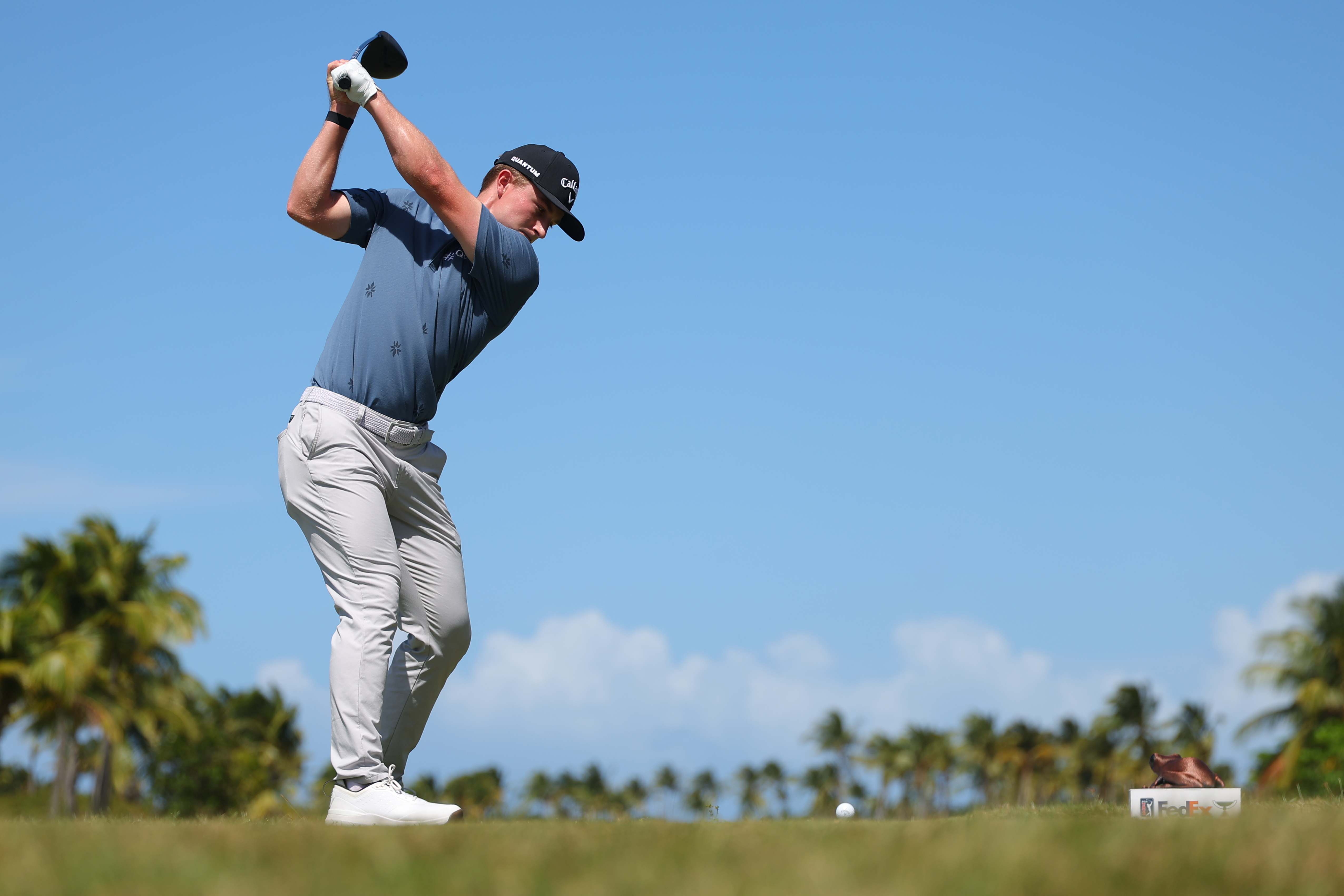 Blades Brown at the top of his backswing