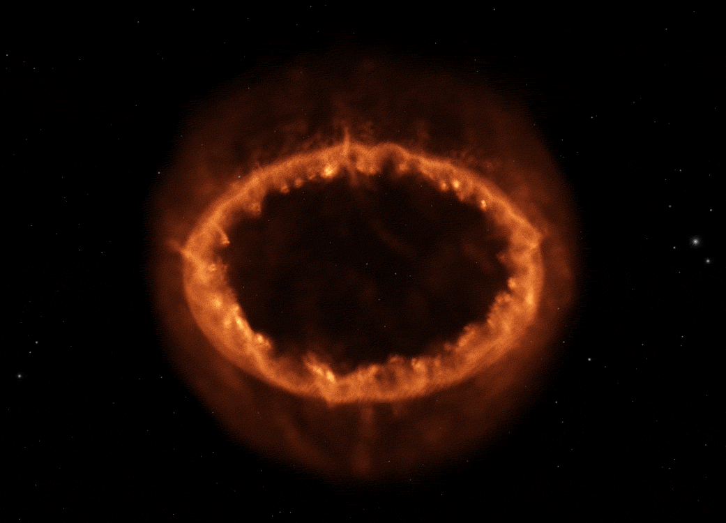 A simulation shows the ring of material that we know as supernova 1987A