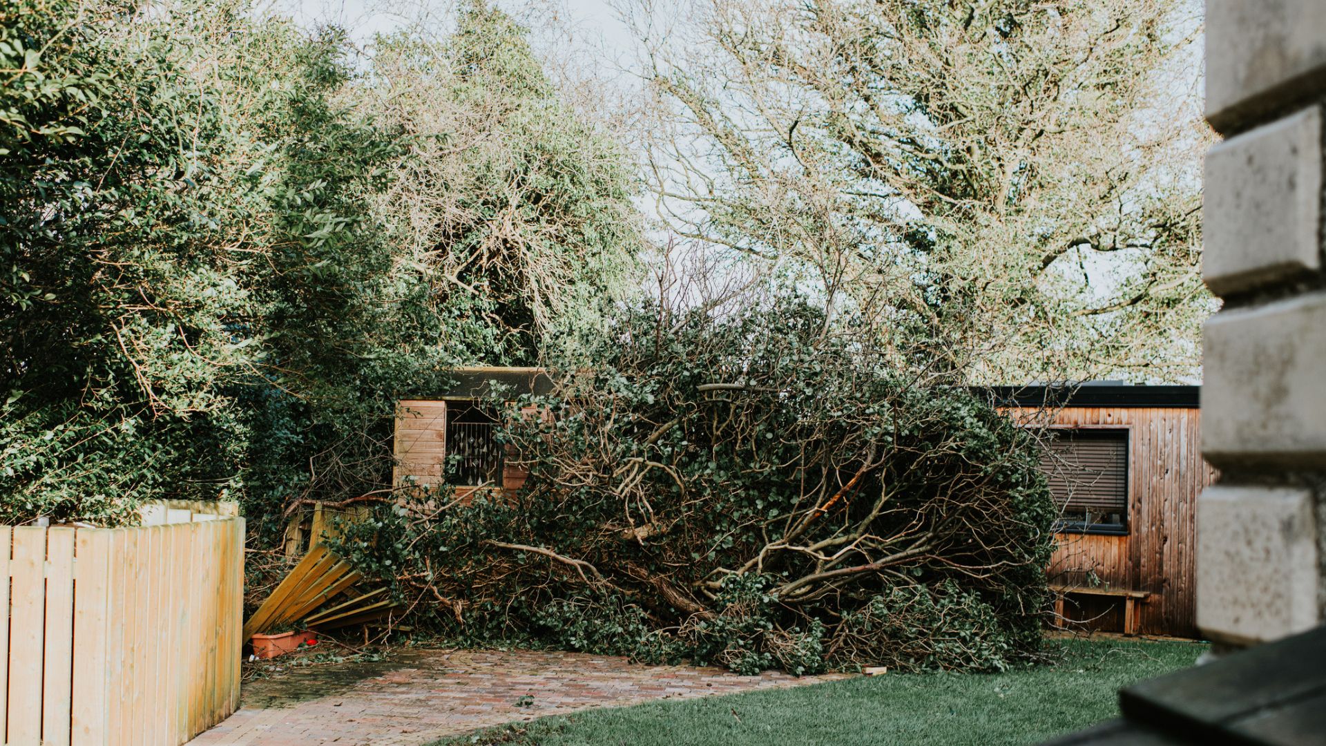 Image of a damaged fence after a storm. A large tree has blown over into a domestic garden, breaking a wooden fence in the process.