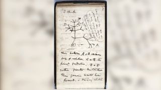 Charles Darwin wrote "I think" (top left) and then drew the famous "Tree of Life" sketch in one of the now-missing journals.