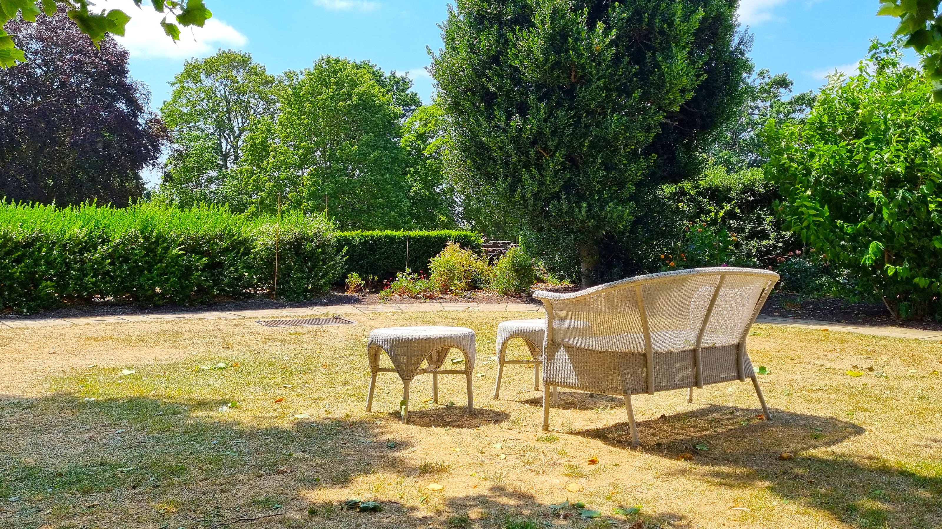 Wicker furniture, including a chair and table, sits in a garden with yellow lawn 