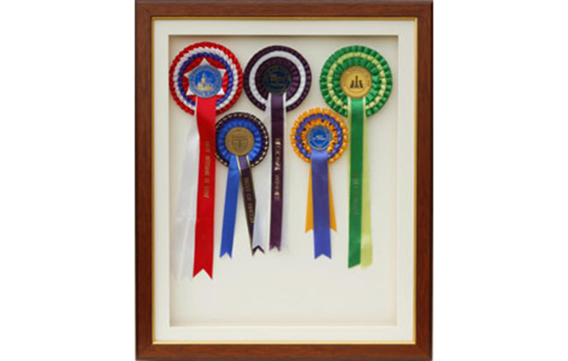 X BEST ROSETTE HOLDERS cani frames mahoganyrosette_mount300