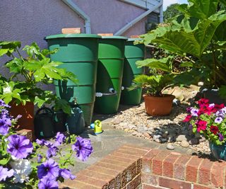 water butts and plants in back yard