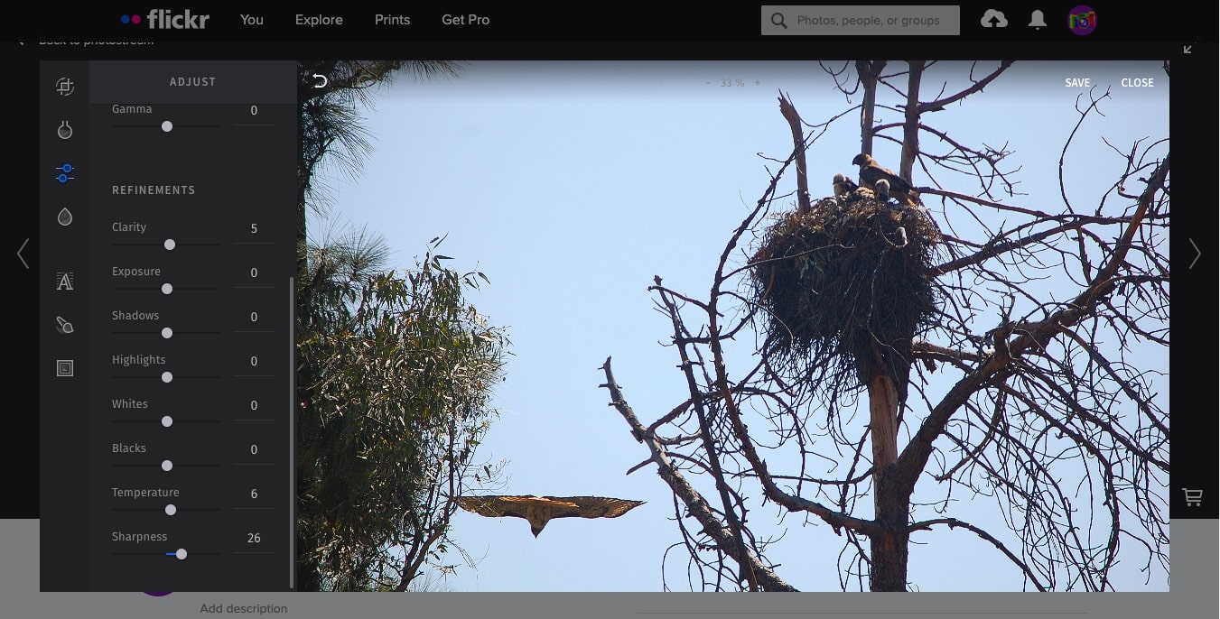 Flickr's photo editor in use