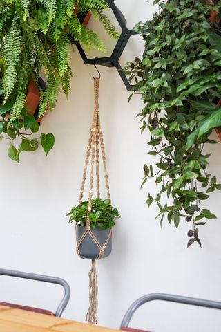natural macrame plant hanger from Ivyline