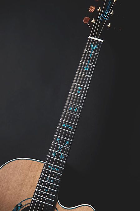 Takamine LTD2023