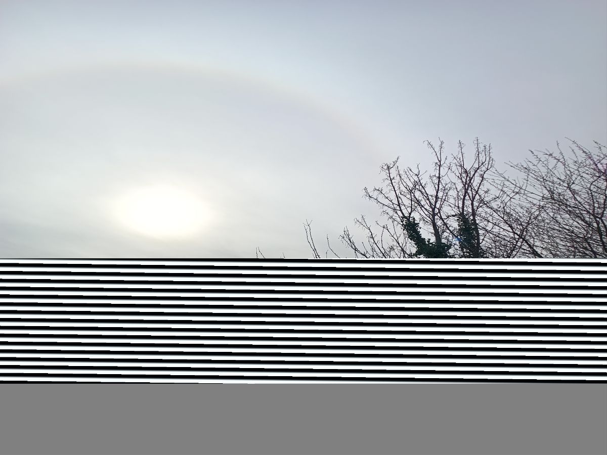 WP61 sample