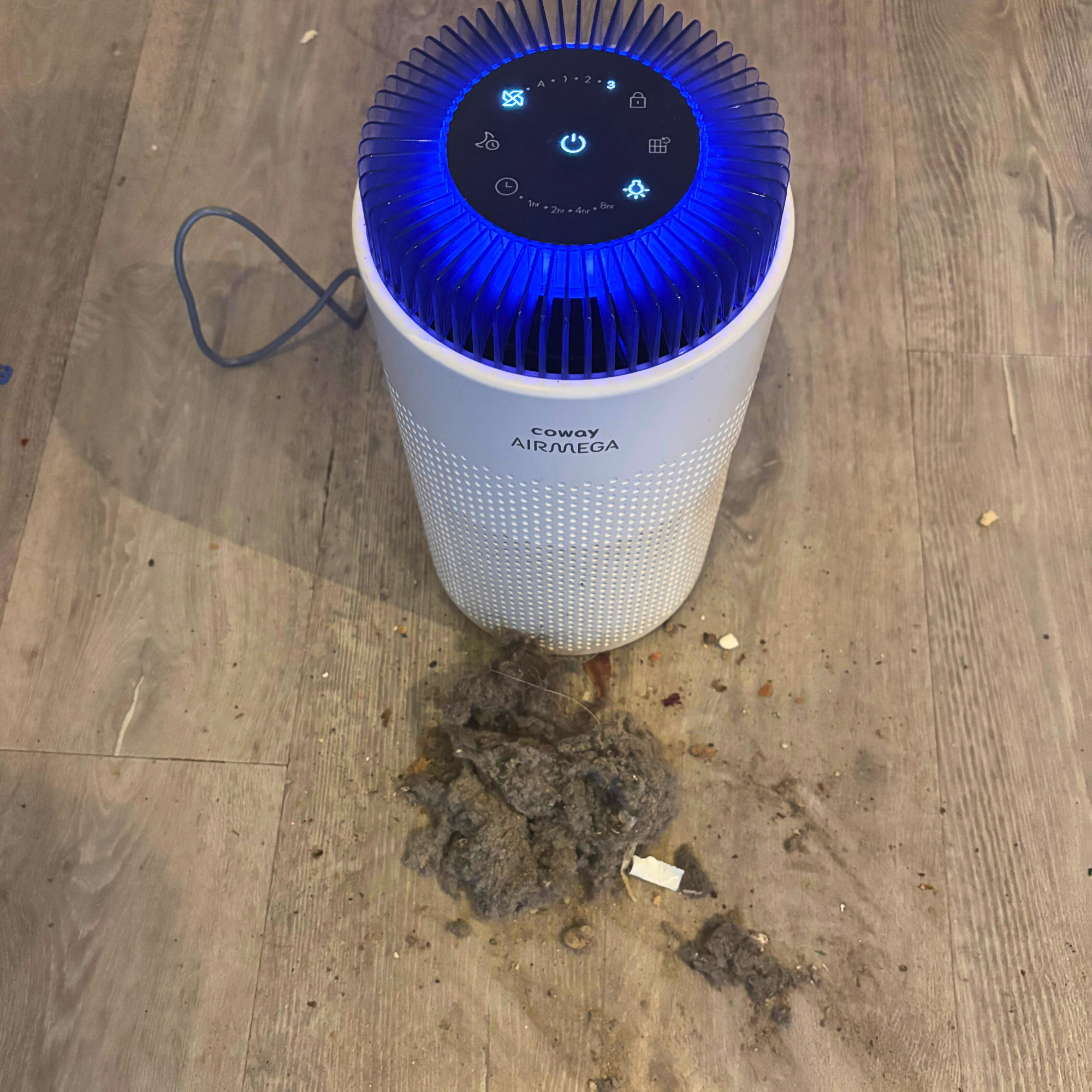 Coway Airmega 50 air purifier dust test