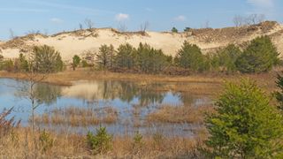 Indiana dunes and bog