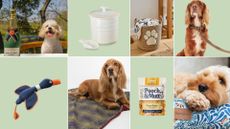 A selection of our favourite treats for spoil your dog day: a champagne bottle toy, a duck toy, dog treats, a le creuset treat jar, a rattan storage basket, a barbour leather lead, a barbour blanket