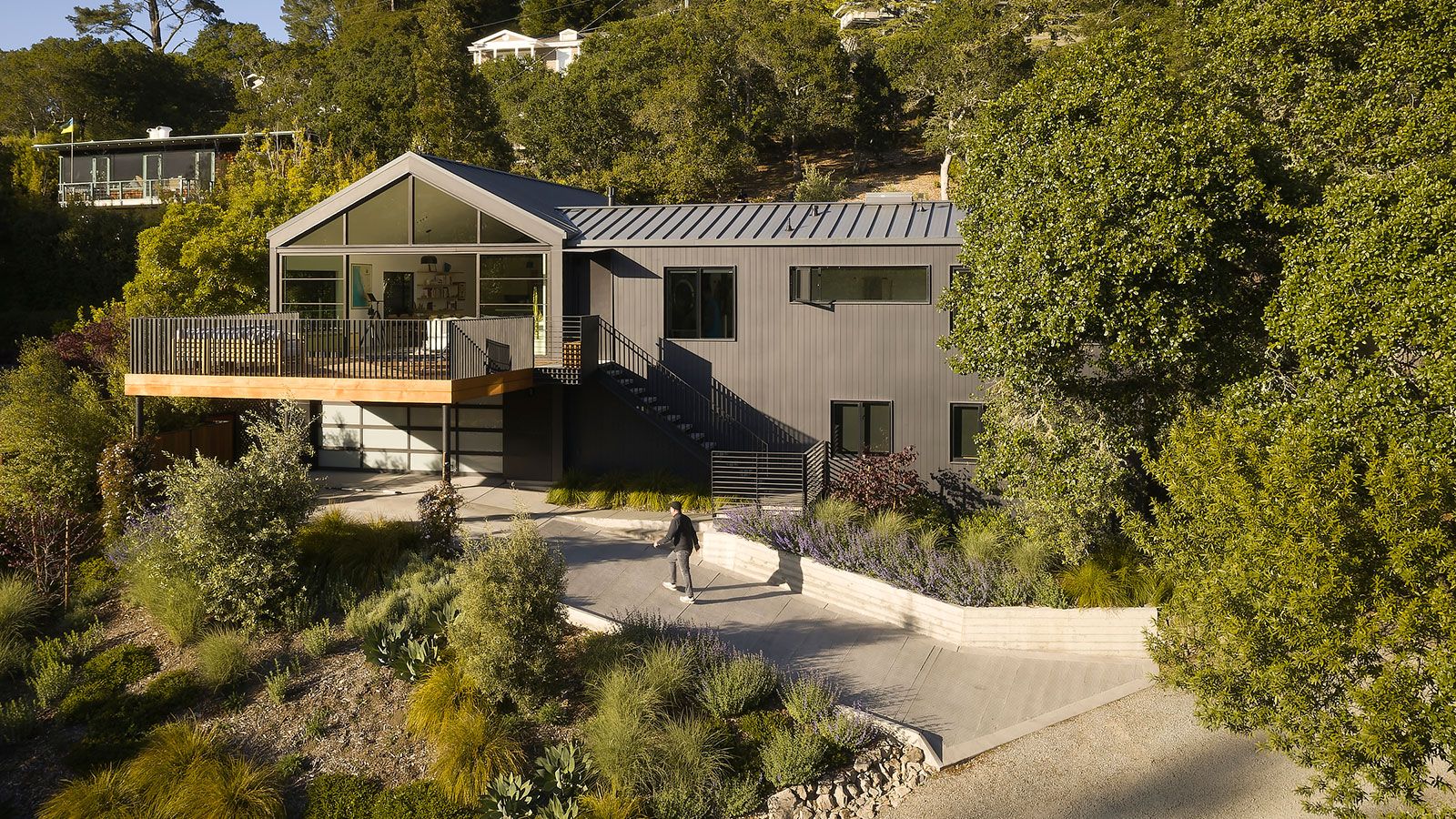 hero exterior of the approach towards Mill Valley house Courtyard house among trees