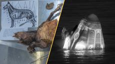 Science news this week Jan 17