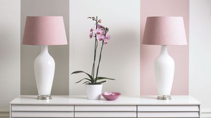 Pink orchid in a white pot on a white console table in between two white lamps with pink lampshades