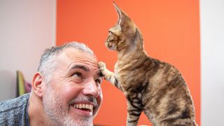 Devon rex cat tapping man's head