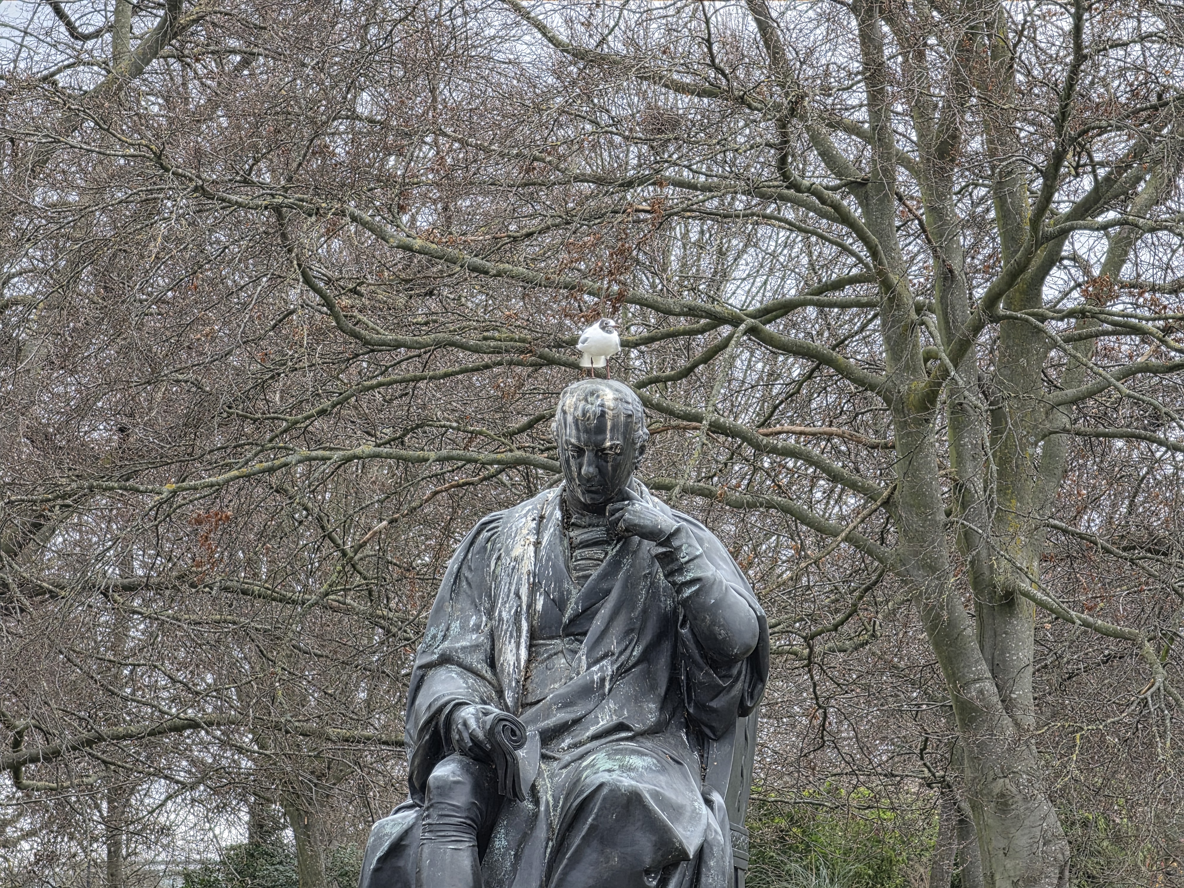 Samsung Galaxy S26 Ultra 10x image