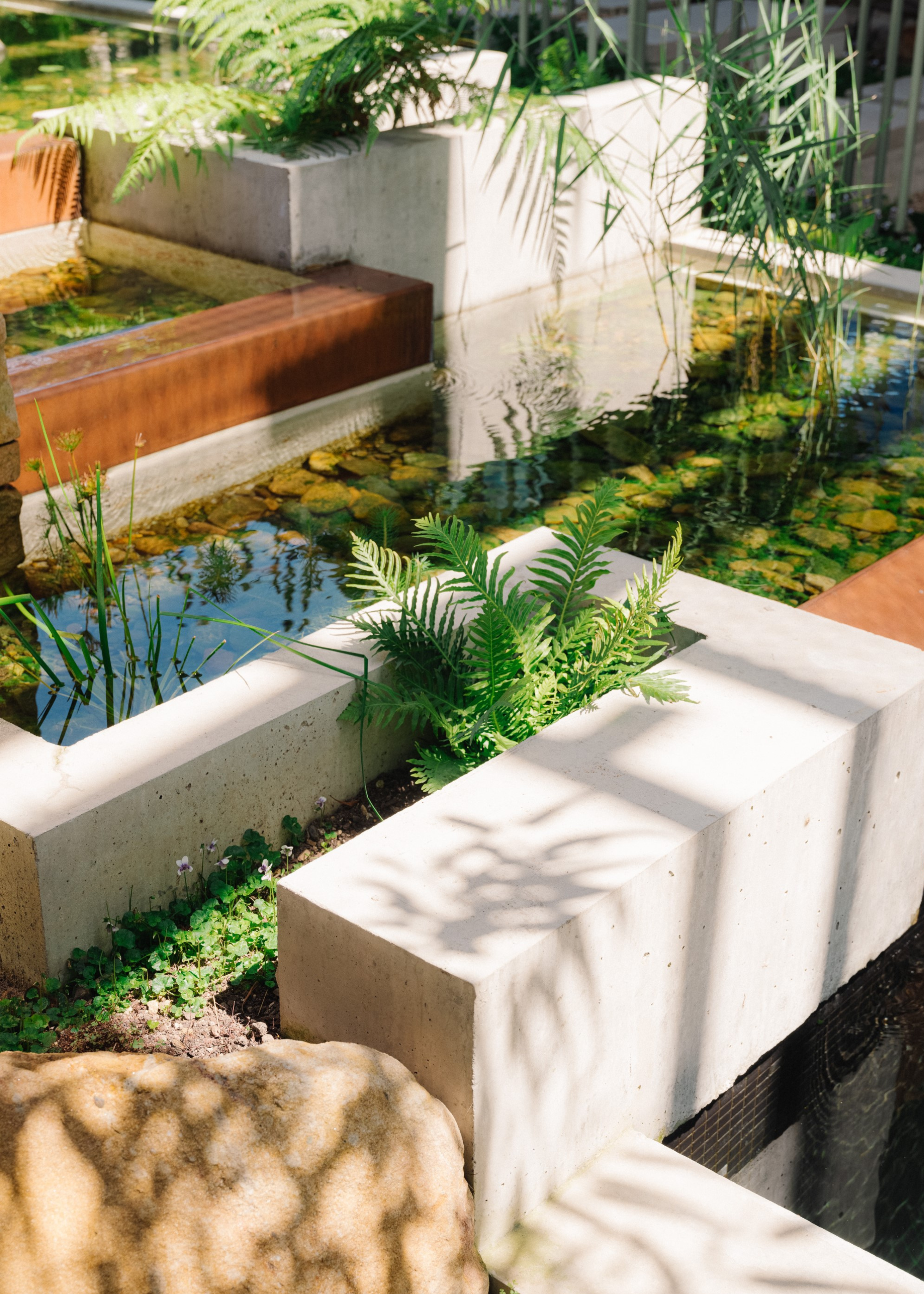 a geometric natural pool with plants growing around it