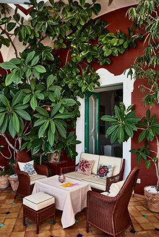 A living room with terracotta red walls and a thick, lush trees