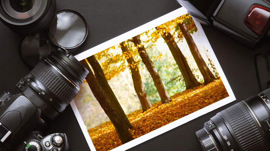 Learn how to take better photos with this course