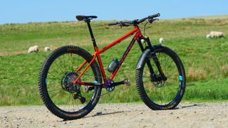 Cotic SolarisMAX bike pictured on a gravel track with sheep in the background