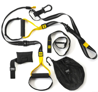 TRX Home2 System