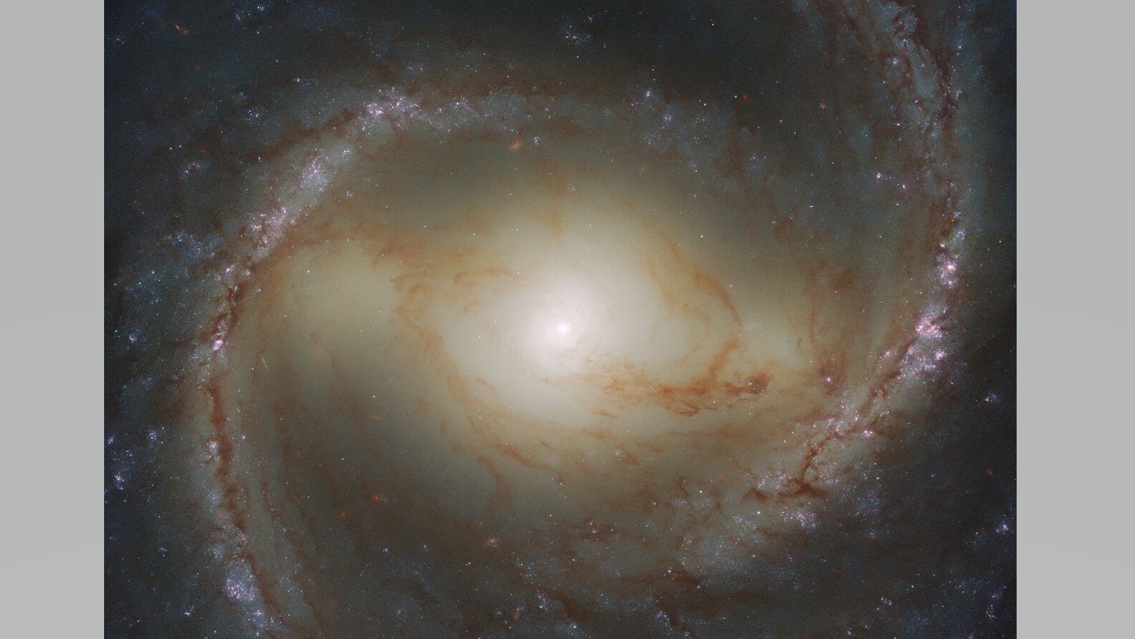 The barred spiral galaxy M1 captured by the Hubble Space Telescope. 