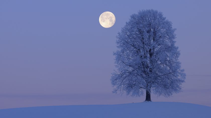 A winter scene with a single tree covered in snow and a full moon