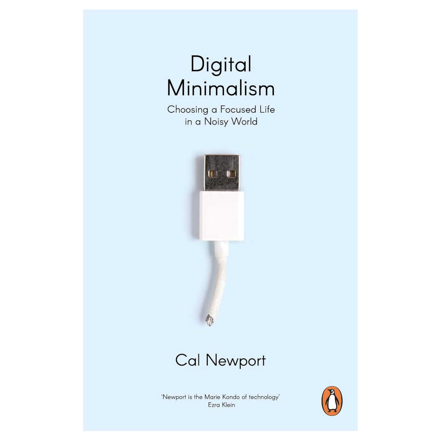 A light blue book cover with a frayed charger on the front with text above reading 'Digital Minimalism'