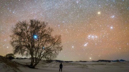 A glowing orange night sky is full of stars overlooking a winter landscape with a large tree in the left of the image