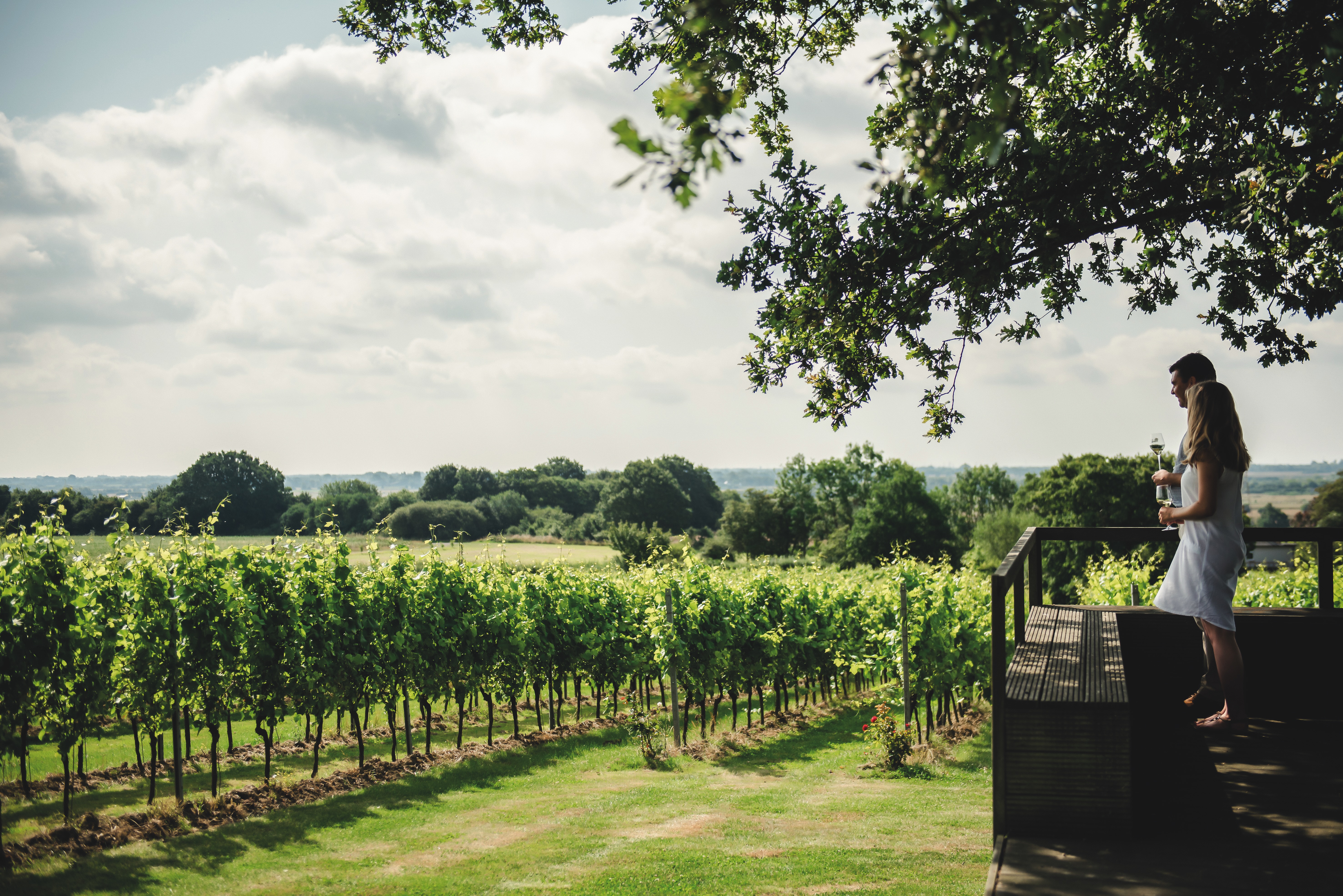 Young couple looking out over an English vineyard