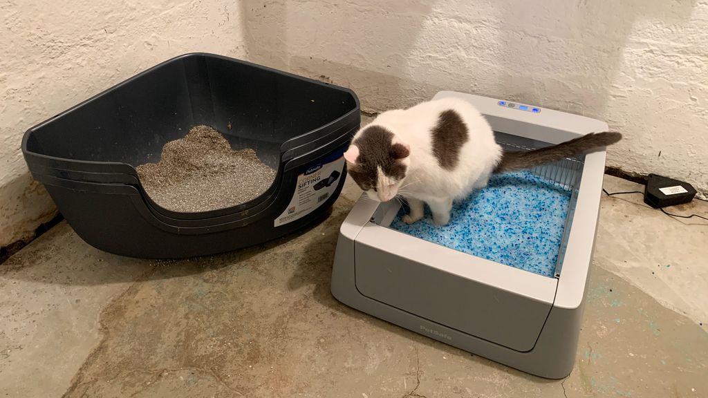 Petsafe ScoopFree Smart SelfCleaning Litterbox review Tom's Guide