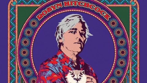 Cover art for Robyn Hitchcock - Robyn Hitchcock album