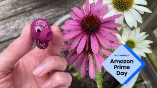 Bose QuietComfort Earbuds Ultra (2nd Gen) next to a flower, with TR's Amazon Prime Day blue badge 