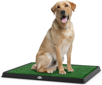Artificial Grass Bathroom Mat for Puppies and Small Pets
| RRP: $44.99 | Now: $23.93 | Save: $21.06 (47%) at Amazon.com