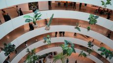 Plants float mid-air at the 'A Poem for Deep Thinkers' exhibit in New York