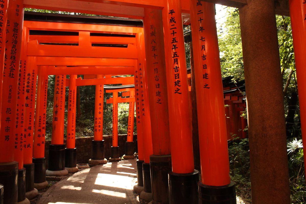 Lushfoil Photography Sim; A pathway lined with numerous vibrant orange torii gates, traditional Japanese archways, leading through a lush green forest.