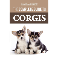 The Complete Guide To Corgis | Amazon