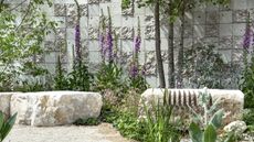 A show garden at the RHS Chelsea Flower Show 2026 with purple foxgloves growing behind large stones next to a gravel path