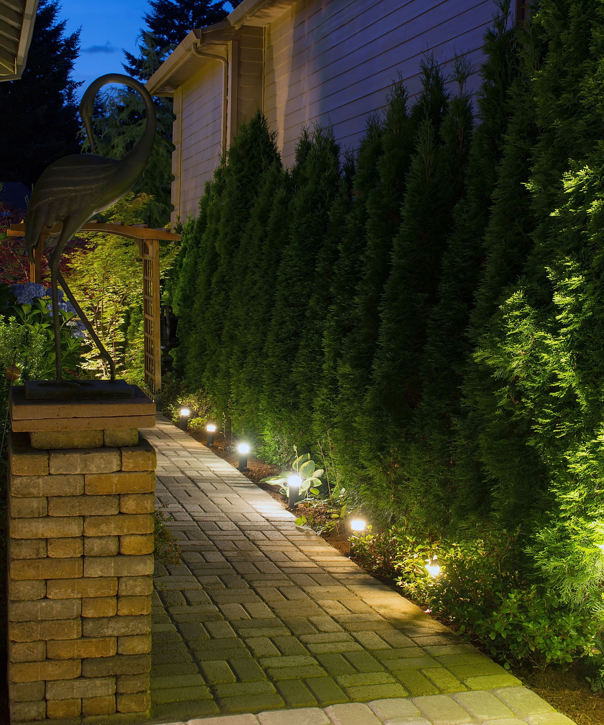 garden path with downlighters and evergreen topiary
