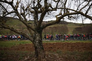 The pack of riders cycles during the 5th stage of the Paris-Nice cycling race, 196,5 km between Saint-Just-en-Chevalet and La CÃ´te-Saint-AndrÃ©, on March 13, 2025. (Photo by Anne-Christine POUJOULAT / AFP)