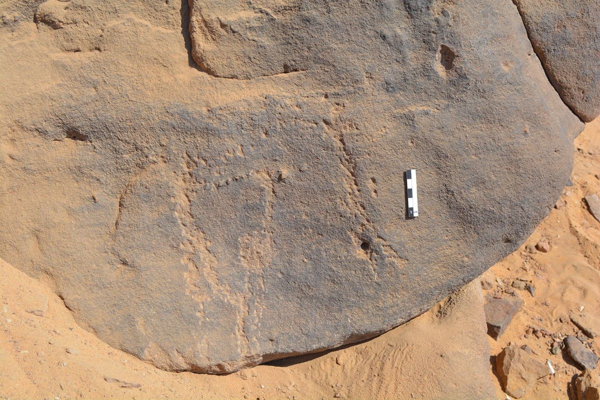 A 6,000-year-old rock carving depicts a hunter alongside an ostrich and a person wearing an ostrich mask. These Neolithic carvings were found alongside a necropolis dating back to Egypt&#039;s pharaonic era.