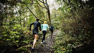 Three trail runners run through a forest.
