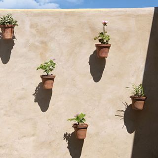 Back concrete wall of garden with plant pots hanging