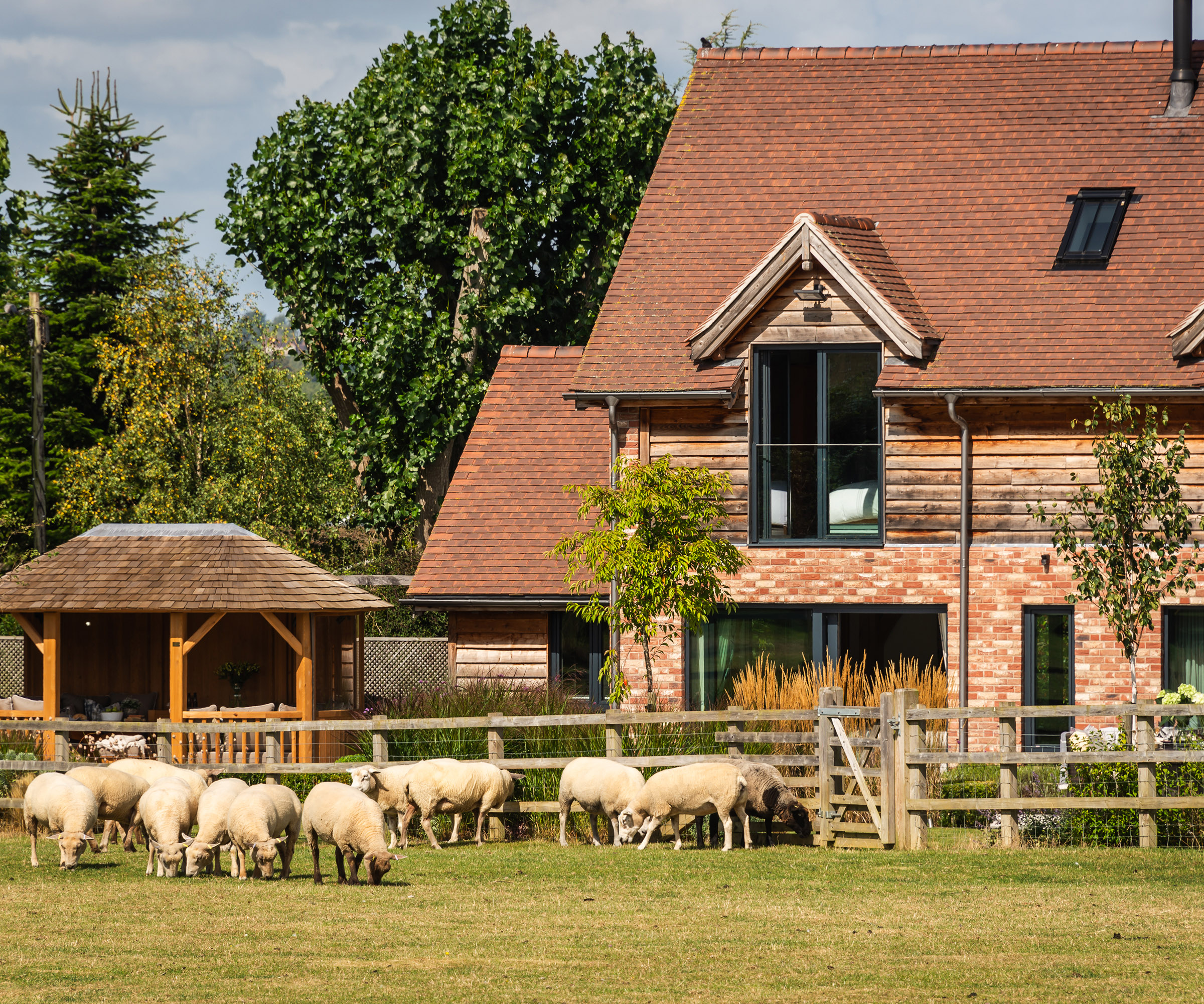 Sheep in a field in front of an oak frame self build home