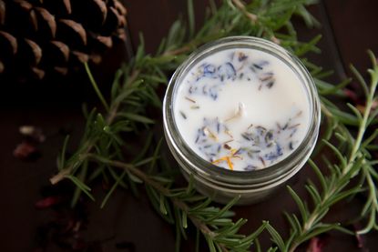 Candle Of Herbs Surrounded By Pine