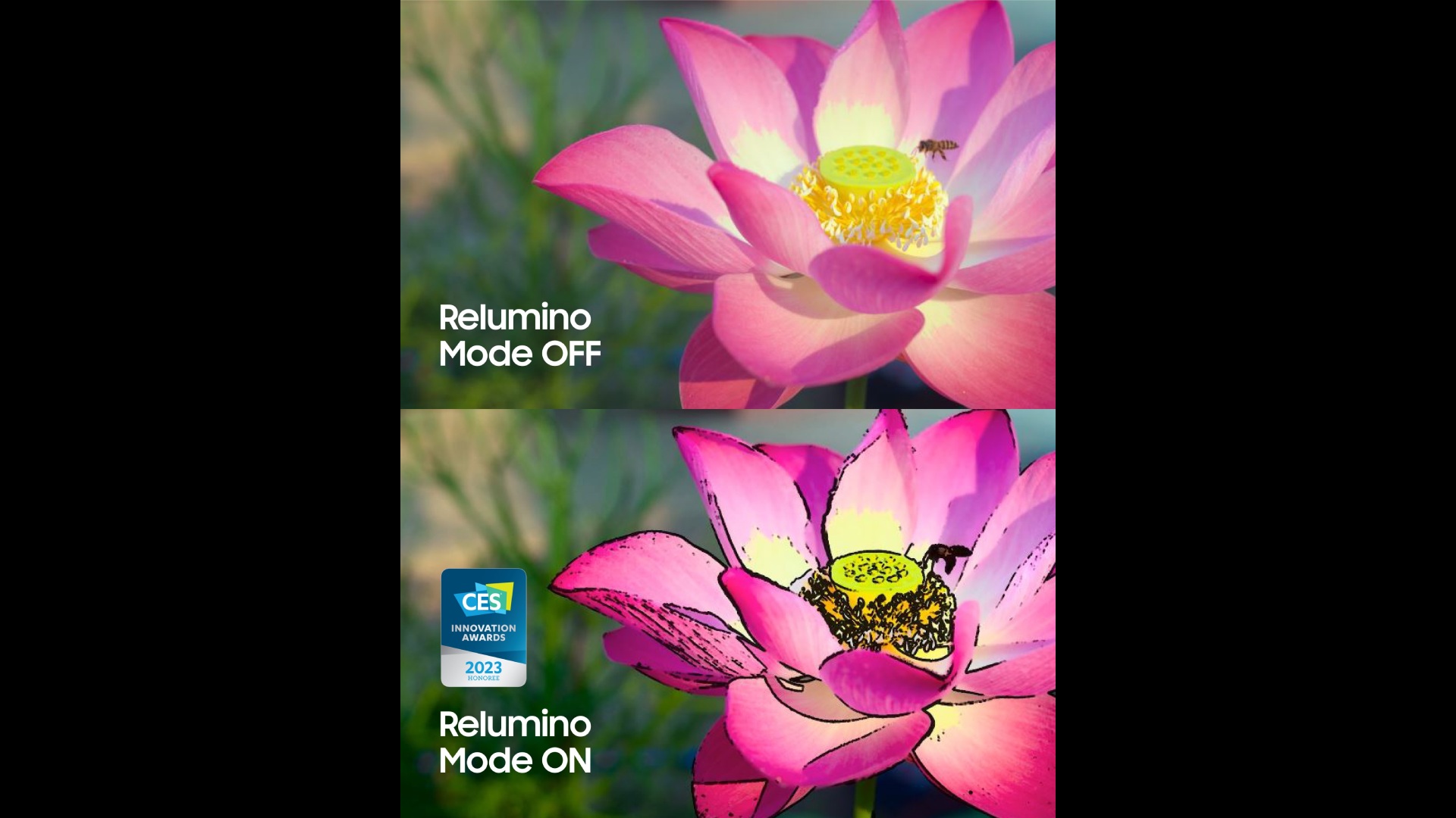 Samsung Relumino se enciende y apaga en la imagen de flores