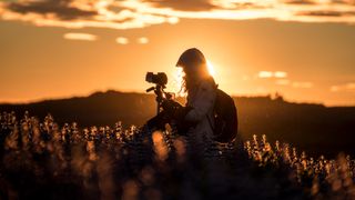 woman photographing flowers in a field