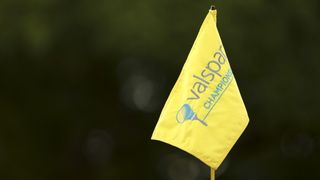 Golf flag at the Copperhead Course at Innisbrook Resort and Golf Club during the Valspar Championship
