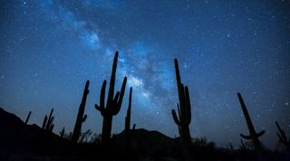 For astrophotography, know how to use your camera in the dark