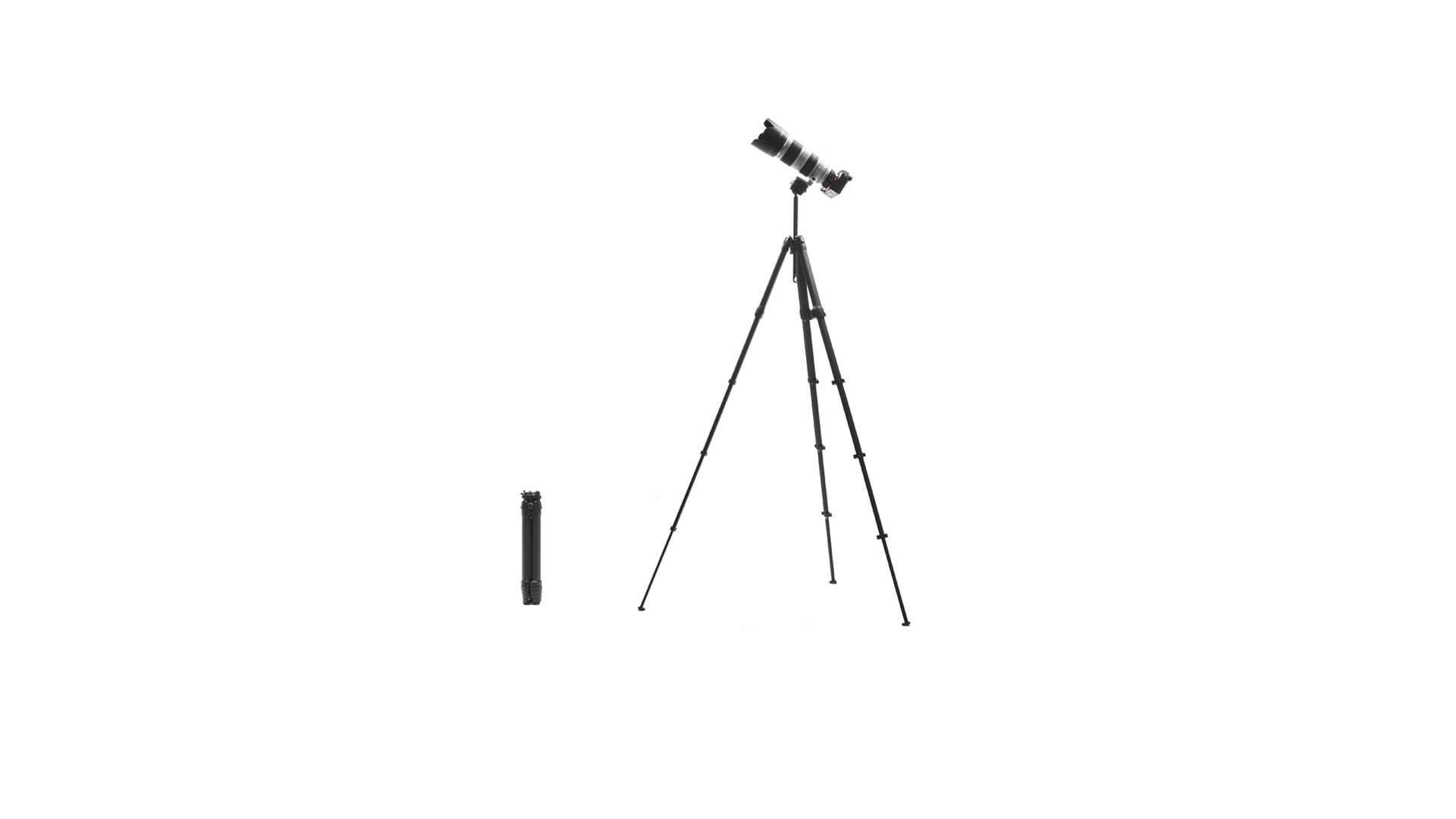 Peak Design Travel Tripod Review: Image shows Tripod extended with Camera attached
